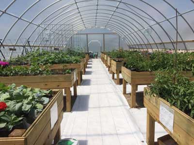 grant county greenhouse